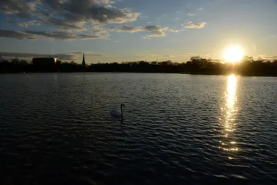 DSC_7143 (Large).JPG